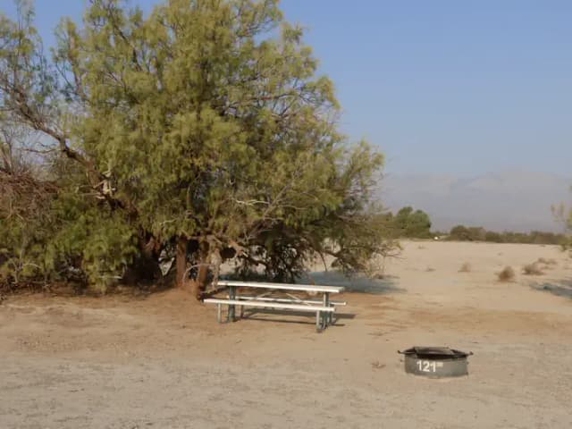 ADA accessible tent only walk in site #121.  No campervans, RV's, or pop up tents.  One accessible firepit with grate and picnic table.  No utilities.