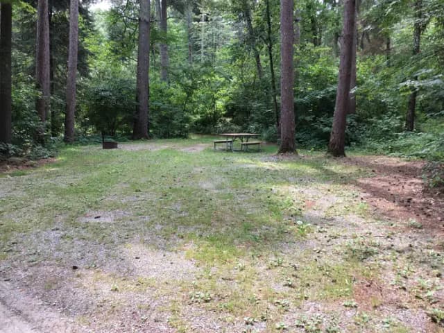 Site 29 South