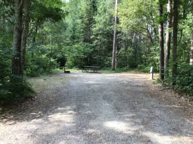 Site 19