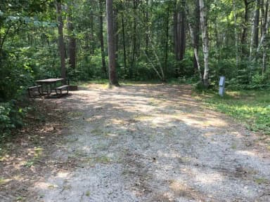 Site 31