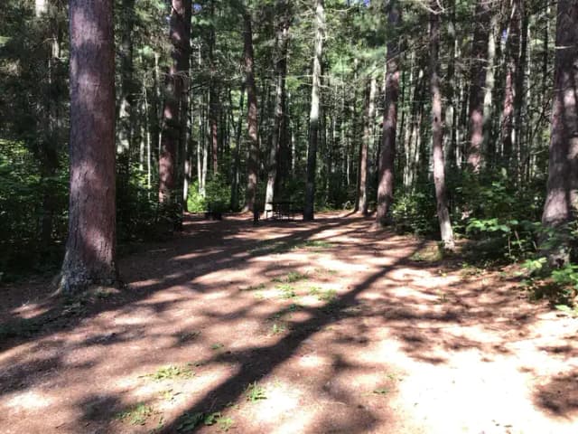 Site 1