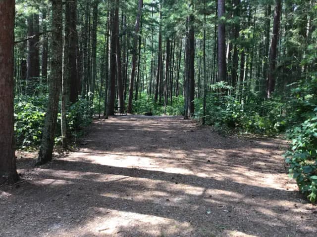 Site 3
