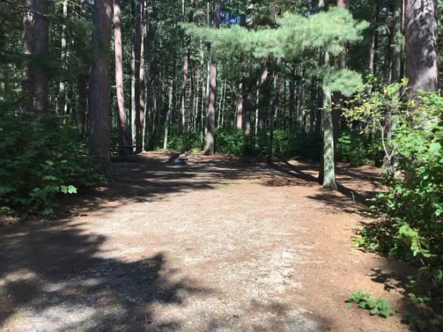 Site 4