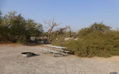 Tent only walk in site #122.  No campervans, RV's, or pop up tents.  One firepit with grate and one picnic table.  No utilities.