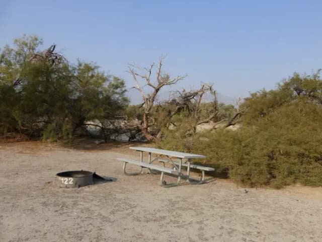 Tent only walk in site #122.  No campervans, RV's, or pop up tents.  One firepit with grate and one picnic table.  No utilities.