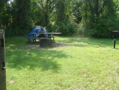 Tamarack · Site T15 at Camp Gateway- Brooklyn Ny
