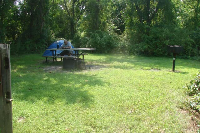 Tamarack · Site T15 at Camp Gateway- Brooklyn Ny