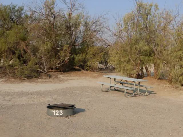 Tent only walk in site #123.  No campervans, RV's, or pop up tents.  One firepit with grate and one picnic table.  No utilities.