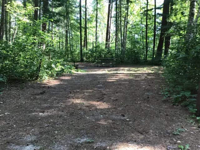 Site 7