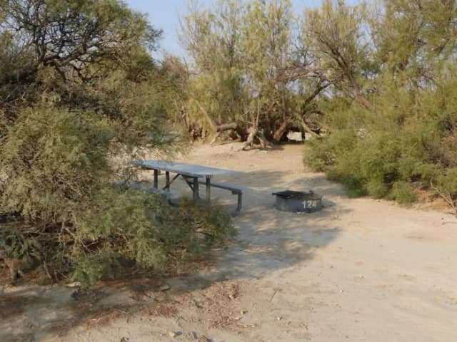 Tent only walk in site #124.  No campervans, RV's, or pop up tents.  One firepit with grate and one picnic table.  No utilities.
