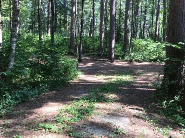 Site 8