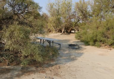 Tent only walk in site #124.  No campervans, RV's, or pop up tents.  One firepit with grate and one picnic table.  No utilities.