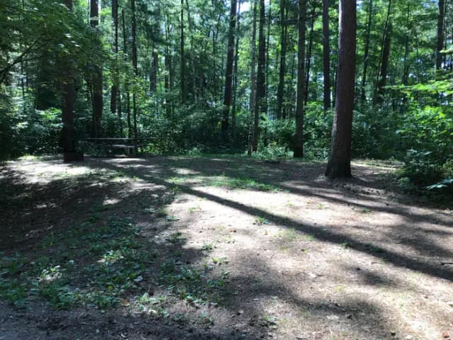 Site 9