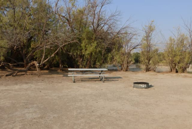 Tent only walk in site #125.  No campervans, RV's, or pop up tents.  One firepit with grate and one picnic table.  No utilities.