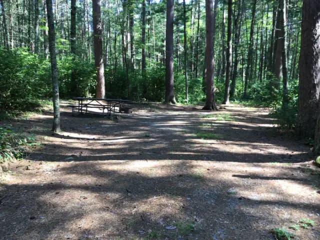 Site 10
