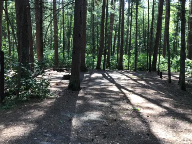 Site 11