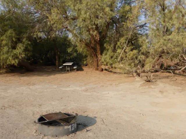 Tent only walk in site #126.  No campervans, RV's, or pop up tents.  One firepit with grate and one picnic table.  No utilities.