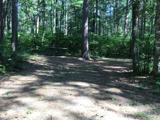 Site 12