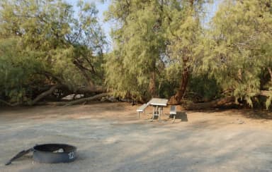 Tent only walk in site #127.  No campervans, RV's, or pop up tents.  One firepit with grate and one picnic table.  No utilities.