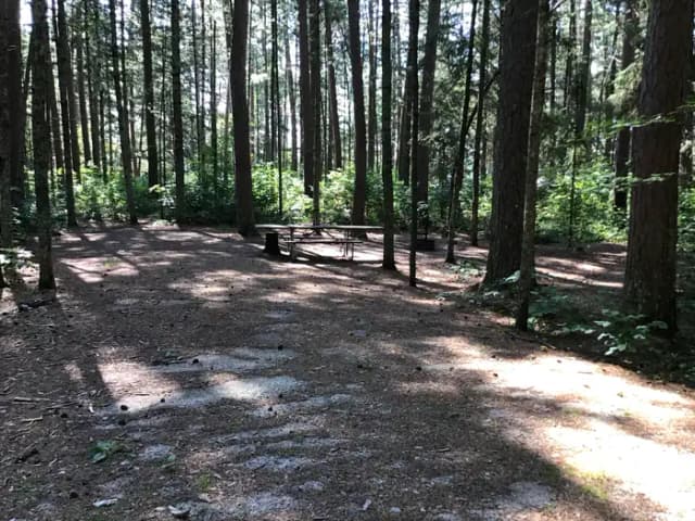 Site 13