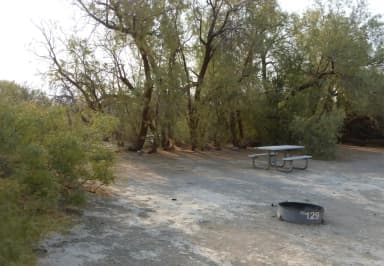 Tent only walk in site #129.  No campervans, RV's, or pop up tents.  One firepit with grate and one picnic table.  No utilities.