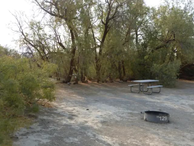 Tent only walk in site #129.  No campervans, RV's, or pop up tents.  One firepit with grate and one picnic table.  No utilities.