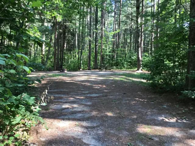 Site 14