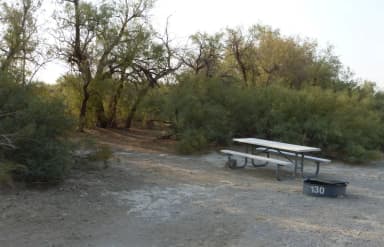 Tent only walk in site #130.  No campervans, RV's, or pop up tents.  One firepit with grate and one picnic table.  No utilities.
