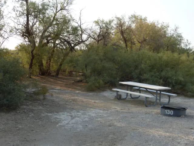 Tent only walk in site #130.  No campervans, RV's, or pop up tents.  One firepit with grate and one picnic table.  No utilities.