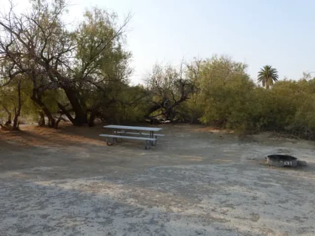 Tent only walk in site #131.  No campervans, RV's, or pop up tents.  One firepit with grate and one picnic table.  No utilities.