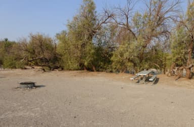 Tent only walk in site #132.  No campervans, RV's, or pop up tents.  One firepit with grate and one picnic table.  No utilities.