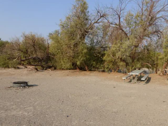 Tent only walk in site #132.  No campervans, RV's, or pop up tents.  One firepit with grate and one picnic table.  No utilities.
