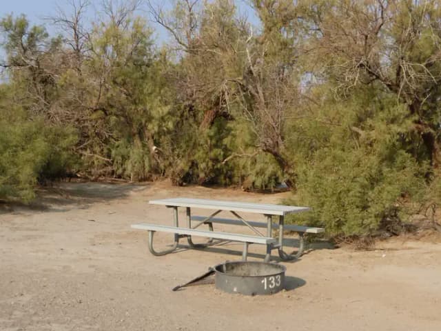 Tent only walk in site #133.  No campervans, RV's, or pop up tents.  One firepit with grate and one picnic table.  No utilities.