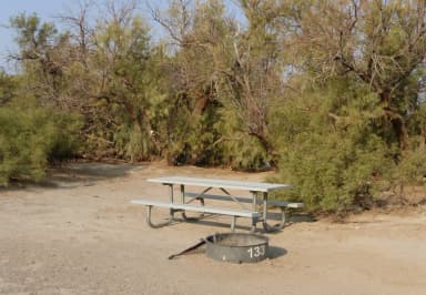 Tent only walk in site #133.  No campervans, RV's, or pop up tents.  One firepit with grate and one picnic table.  No utilities.