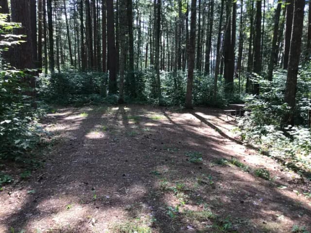 Site 15