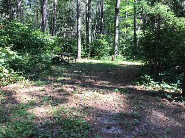 Site 16