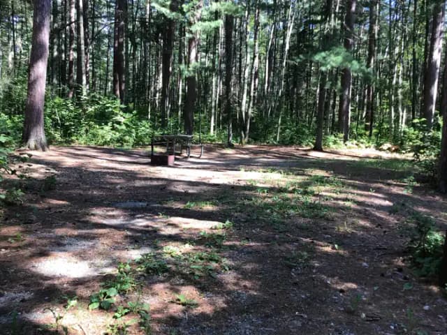 Site 18