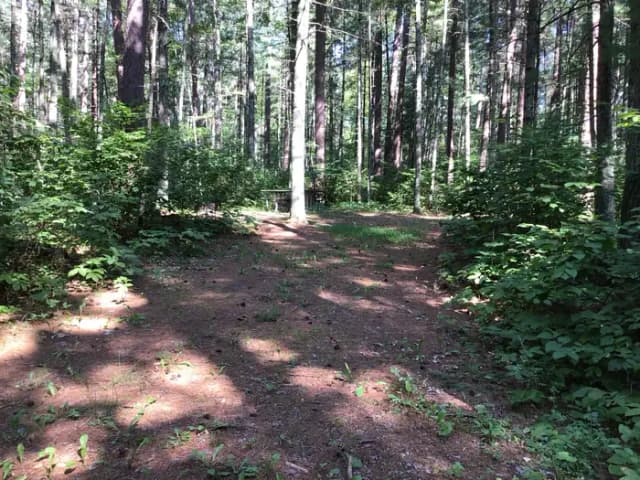 Site 19