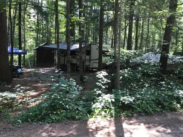 SIte 21