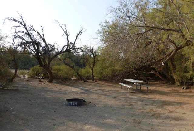 Tent only walk in site #134.  No campervans, RV's, or pop up tents.  One firepit with grate and one picnic table.  No utilities.