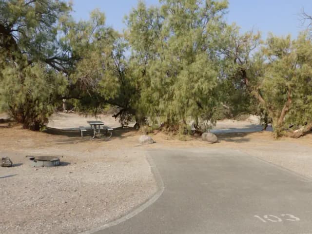 Tent only drive in site #103.  No campervans, RV's, or pop up tents.  One firepit with grate and one picnic table.  No utilities.