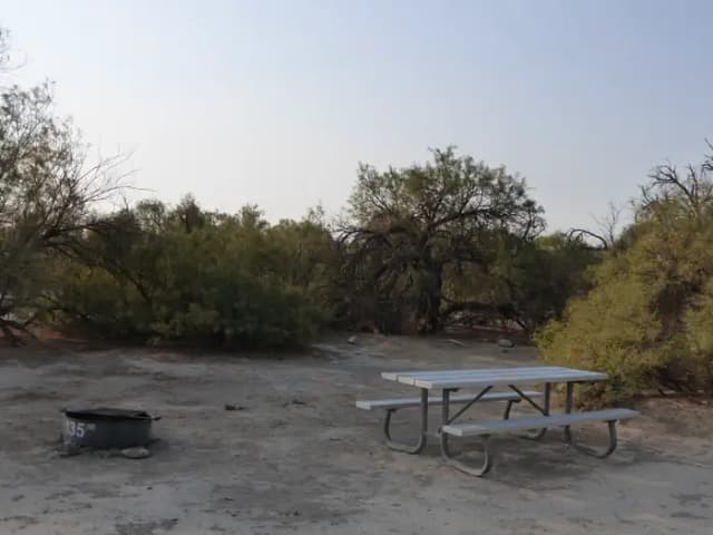 Tent only walk in site #135.  No campervans, RV's, or pop up tents.  One firepit with grate and one picnic table.  No utilities.