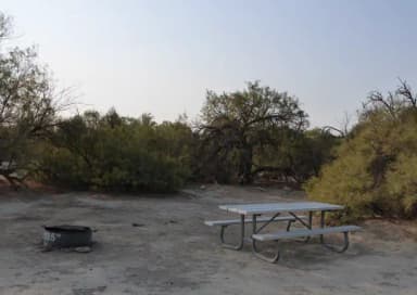 Tent only walk in site #135.  No campervans, RV's, or pop up tents.  One firepit with grate and one picnic table.  No utilities.