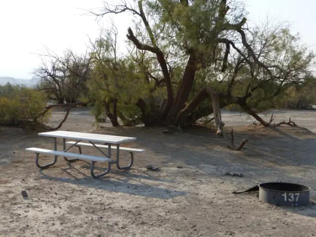 Tent only walk in site #137.  No campervans, RV's, or pop up tents.  One firepit with grate and one picnic table.  No utilities.