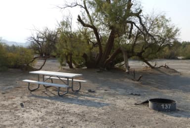 Tent only walk in site #137.  No campervans, RV's, or pop up tents.  One firepit with grate and one picnic table.  No utilities.