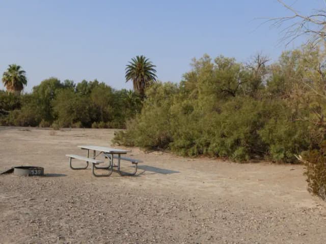 Tent only walk in site #139.  No campervans, RV's, or pop up tents.  One firepit with grate and one picnic table.  No utilities.