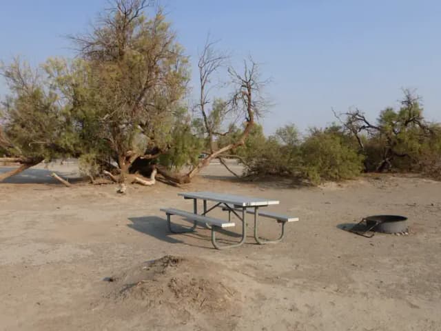 Tent only walk in site #140.  No campervans, RV's, or pop up tents.  One firepit with grate and one picnic table.  No utilities.