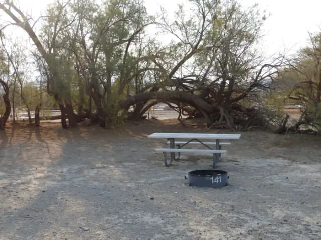 Tent only walk in site #141.  No campervans, RV's, or pop up tents.  One firepit with grate and one picnic table.  No utilities.