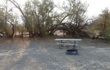Tent only walk in site #141.  No campervans, RV's, or pop up tents.  One firepit with grate and one picnic table.  No utilities.