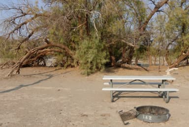 Tent only walk in site #142.  No campervans, RV's, or pop up tents.  One firepit with grate and one picnic table.  No utilities.